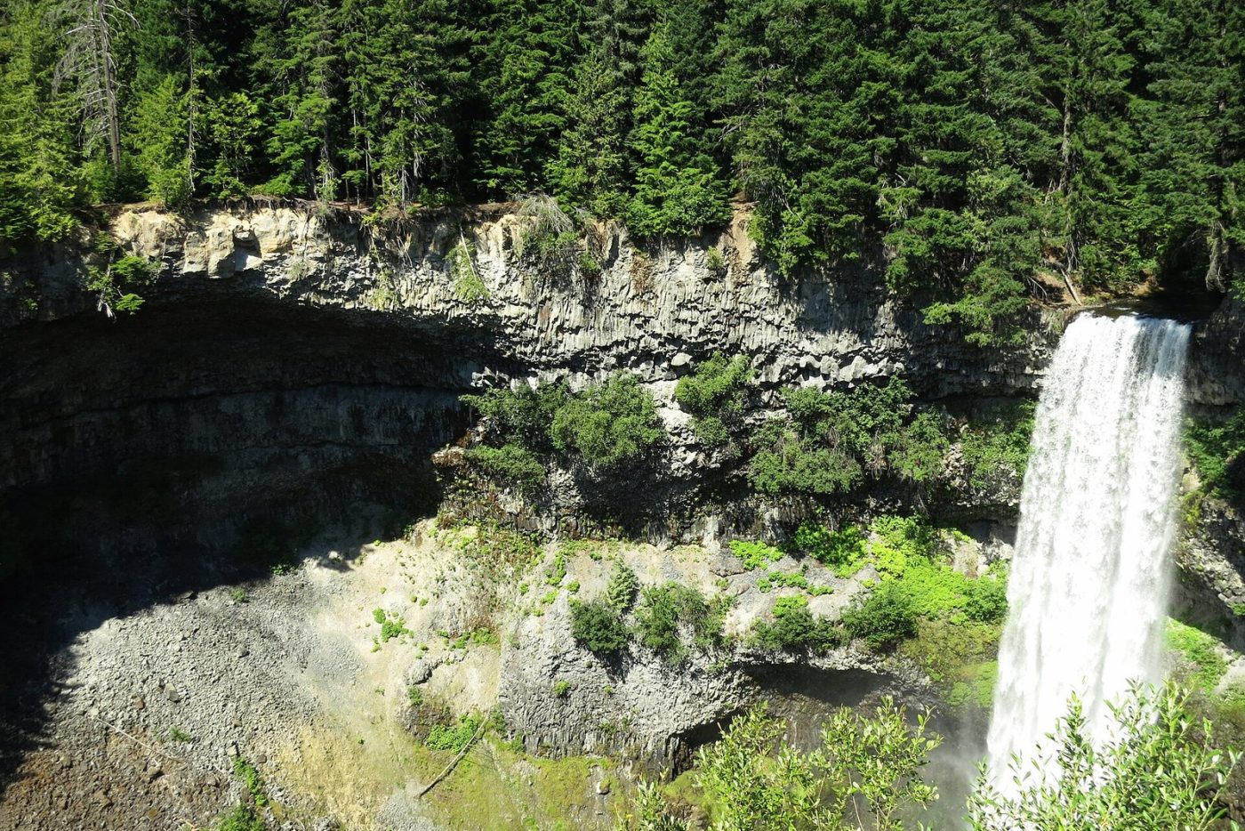 Brandywine Falls pouring over a dark basalt lip into the canyon, framed by forest and seen from the rim