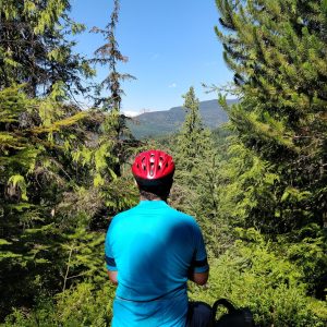 A cyclist in a red helmet, seen from behind, resting on a rock beside the Sea to Sky Trail and looking out over forested mountains